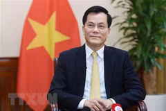 Deputy Foreign Minister Ha Kim Ngoc grants interview on US President's visit 