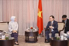 Top legislator meets with Indonesian Audit Board leader 