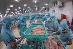 US ranks among Vietnam’s top trade partners: Minister