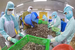 Agro-forestry-fisheries sector enjoys trade surplus of 9.3 billion USD
