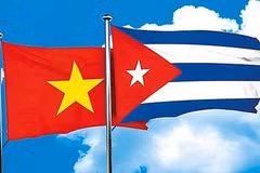 Online quiz spotlights Vietnam - Cuba friendship