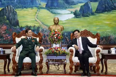 Vietnam, Laos beef up defence cooperation