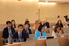 Vietnam joins international community addressing food security crisis