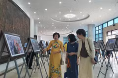 Vietnam-Japan festival imbued with cultural exchange, friendship