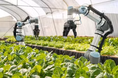 Forum discusses sci-tech application in agriculture value chain