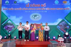Vinh Long exports first batch of sweet potatoes to China