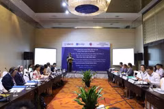 Vietnam, US cooperate in addressing war consequences
