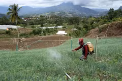 ASEAN to launch regional village network documents
