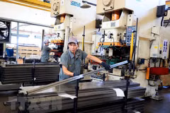 Dong Nai’s FDI attraction surpasses yearly plan 