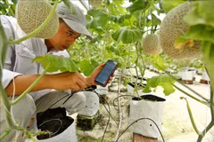 Forum updates SPS standards in foreign markets