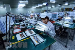 Vietnam remains stable destination for investors: Swiss fund 