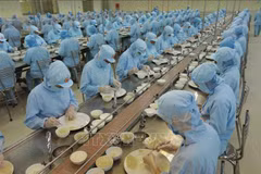 Vietnamese enterprises increase investment to seize bird’s nest export opportunities