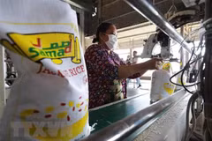 Vietnam to be major source of rice supply to Indonesia 