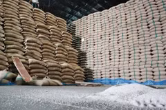 Thai Commerce Ministry following global rice situation after India bans exports