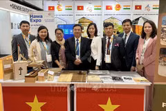 Vietnamese businesses updated on India’s new foreign trade policy