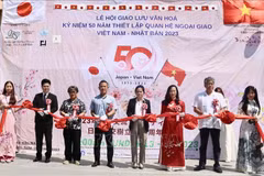 First Vietnam-Japan cultural exchange festival held in Okinawa