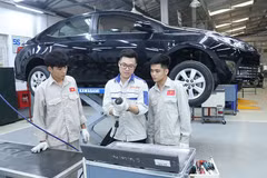 Positive signs from overseas labour market