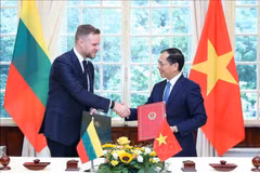 Vietnamese, Lithuanian FMs hold talks