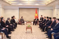 PM receives leaders of Japan-Vietnam friendship associations