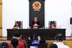 Appeal court opens for 'repatriation flight' case