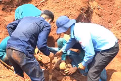 Remains of 20 fallen soldiers found in a hamlet in Binh Phuoc