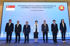 Southeast Asian nations join hands to cope with haze pollution