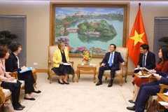 Deputy Prime Minister receives UNICEF Representative in Vietnam