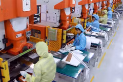 Labour market to keep struggling with difficulties in coming months