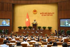 Government members, heads of sectors grilled at NA’s meeting