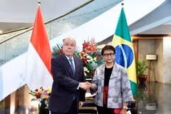 Indonesia calls on Brazil to invest in cattle breeding