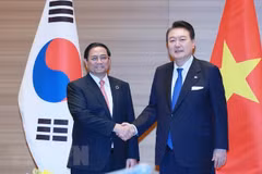 Vietnamese PM meets RoK President 