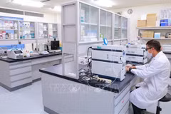 Vietnamese named in World top scientist list 