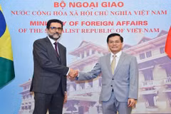 Vietnam-Brazil comprehensive partnership to go further