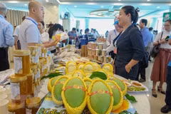 Vietnam, China’s Chongqing enjoy stronger trade ties 