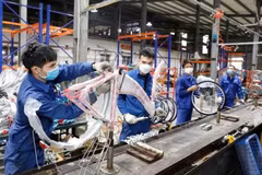 Vietnam's economic growth will be driven by a recovering export sector, robust foreign direct investment, and policy support, said the IMF. (Photo: VNA)