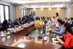 The meeting between the Guinea-Bissau delegation and the Field Crops Research Institute in Hai Duong province on September 6 (Photo: VNA)