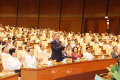 Party General Secretary and State President To Lam (standing) and other officials at the conference held on October 20 (Photo: VNA)