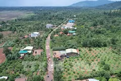Site clearance is being implemented for Khanh Hoa - Buon Ma Thuot Expressway's section running through Ea Kenh commune of Krong Pac district, Dak Lak province. (Photo: VNA)