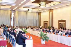 The Khanh Hoa - China business matching event on December 11 (Photo: VNA)