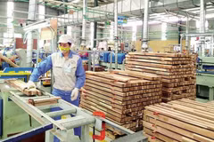 Gia Lai to build wood processing industry on solid foundation