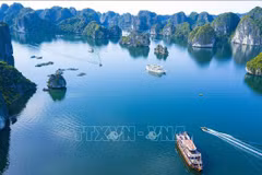 Hai Phong tourism to take off following UNESCO recognition of Cat Ba archipelago