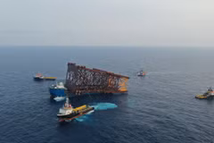 Petrovietnam looks towards energy transition, service sector competitiveness