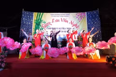Bac Giang works to build healthy cultural environment