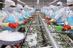 Ample room remains for food processing industry’s development