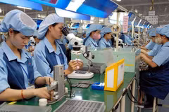 FDI expected to bounce back with improved investment climate