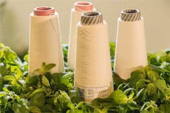 Garment sector must go green to ensure sustainable development