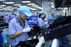 Hai Phong ensures high-quality human resources for businesses