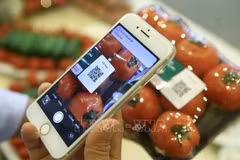 Digitisation in agricultural product traceability needs joint efforts