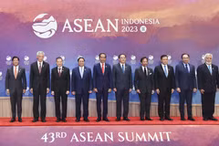 Vietnam's international integration through "bamboo diplomacy"