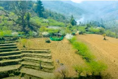 Yen Bai unleashing tourism in village “oasis”